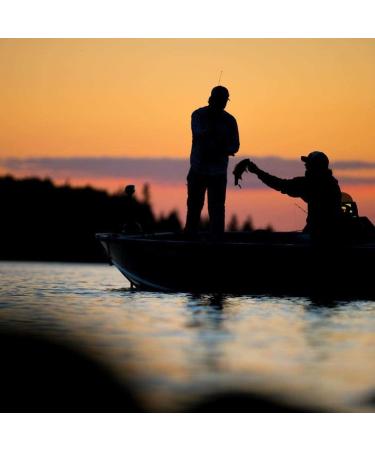 Rapala Shad Dancer - Premium Balsaholz Fishing Lure | Freshwater Angelk der | 4cm/5g Live Brown Trout | International Shipping - Buy Online on GoSupps.com