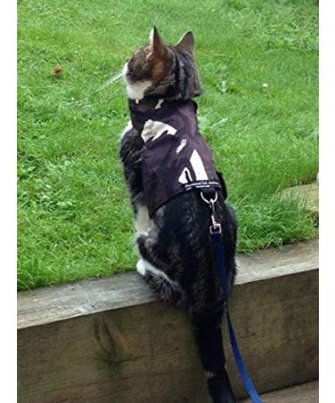 Mynwood Cat Jacket/Harness Arctic Combat Adult Cat - Buy Online on GoSupps.com