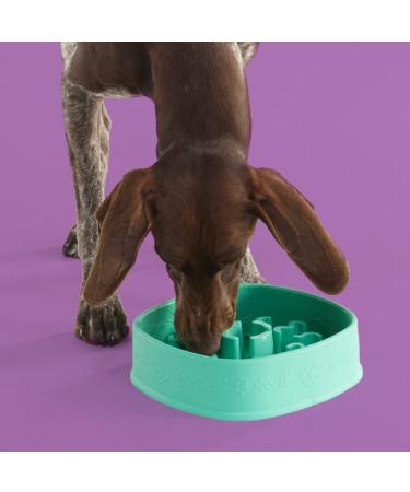 YOMP FunFeeder Slow Feeder Dog Bowl - Textured Non-Toxic Silicone Puzzle Bowl for Safe & Healthy Pet Play - Buy Online on GoSupps.com