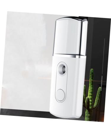 Hemoton 2 Pcs Fashion Mist Sprayer Mini Face Spray Device Creative Nano Mist Sprayer Steamer - Buy Online on GoSupps.com