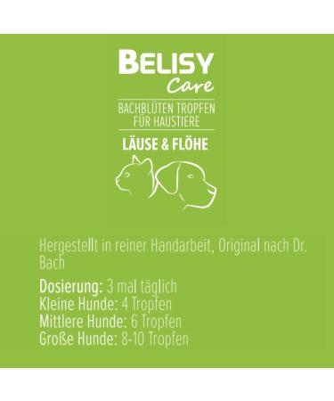 Buy BELISY Lice & Fleas Bach Flower Drops for Dogs & Cats - 20ml - Natural Treatment for Fleas & Lice - International Shipping - Buy Online on GoSupps.com