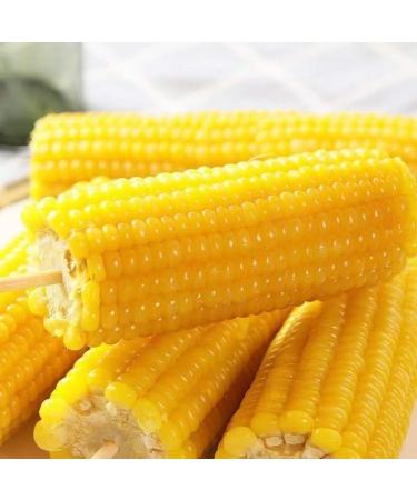Delicious yellow glutinous corn stick sweet corn fresh corn vegetable snacks nutritious breakfast Coarse grains cereal Dim sum dessert sweets Chinese snack gift pack convenience food (8 bags) - Buy Online on GoSupps.com