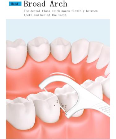 Hotoa Dental Sticks - 324 Super Dental Floss Picks & Toothpicks for Optimal Oral Hygiene - Buy Online on GoSupps.com