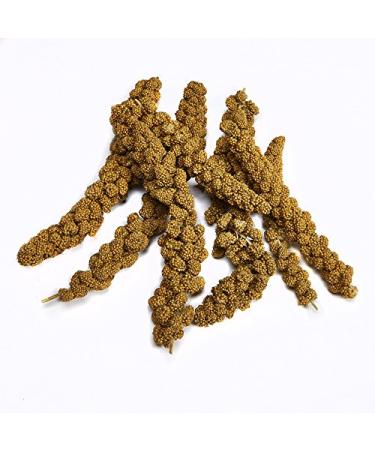 Kaytee Spray Millet for Birds - 12 Count (Pack of 1) | Nutritious Treats for Pet Birds - Buy Online on GoSupps.com