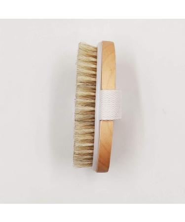 Hyshina Dry Skin Body Brush - Natural Bristle for Healthier Skin, Cellulite Treatment, and Improved Lymphatic Functions - Buy Online on GoSupps.com