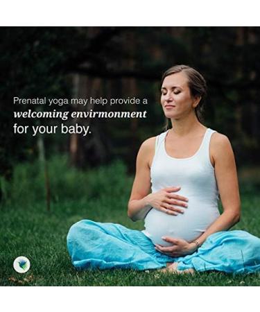 Seeking Health Optimal Prenatal Powder - Chocolate Flavor | Vegetarian Formula with Bioavailable B12, Folate, Ginger, and Active B6 | Supports Healthy Pregnancy and Fetal Development (15 Servings) - Buy Online on GoSupps.com