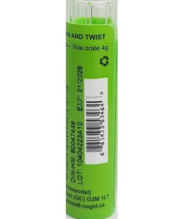 Streptococcinum 6CH Homeopathy Medicine - Schmidt-Nagel Canada 90 Pellets for International Shipping - Buy Online on GoSupps.com