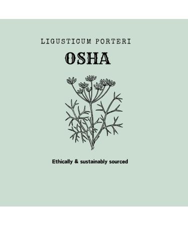 Osha Root 1oz (Ligusticum Porteri) Sustainably ethically sourced - Buy Online on GoSupps.com