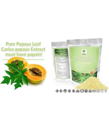 Papaya Leaf Extract (Carica papaya) - Powder 100g pure 100% natural without additives - For soup smoothies coffee drinks pastries - Buy Online on GoSupps.com