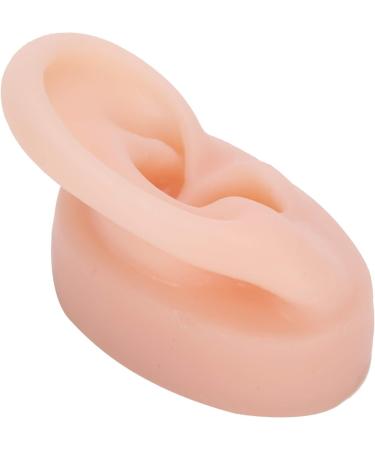 Silicone Human Ear Model for Hearing Aid Demonstration - Shop Window Display - Buy Online on GoSupps.com