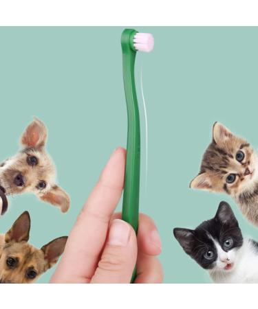 Mipcase 12 Pcs Pet Toothbrush Portable Toothbrush Cat Toothpaste Dog Small Head Toothbrush Bristles Manual - Buy Online on GoSupps.com