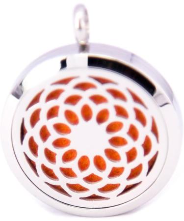 Trendy Women's Diffuser Pendant Necklace | Essential Oil Locket & Choker Jewelry - Buy Online on GoSupps.com
