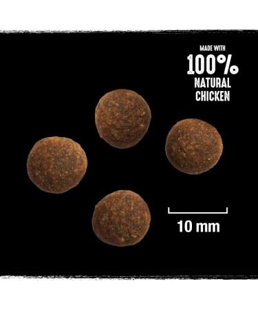 Crave Adult Dry Dog Food with Bone Marrow and Urinary Cereals 7 kg (1 Pouch) Premium High Protein Dry Dog Food Made with - Buy Online on GoSupps.com