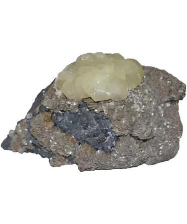 Galena - Siderite - Calcite France Mineral MINFR5996 - Buy Online on GoSupps.com