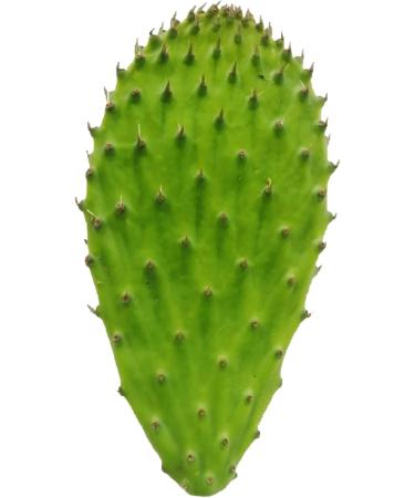 3 kg of fresh scoops for cooking edible nopal O ficus - Buy Online on GoSupps.com