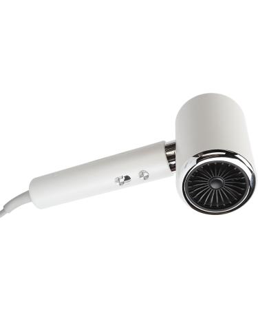 Electric Hair Dryer Concentrator Nozzle Ionic Release Blow Dryer Overheat Protection for Home Use (US Plug 110V) - Buy Online on GoSupps.com