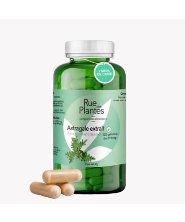 Astragalus Extract 120 Capsules - Food Supplement to Support Immunity and Improve Vitality - 1 Month Cure - Made in France