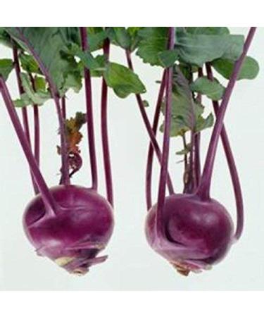 vegherb 2G 400 Kohlrabi Seeds Delikatesna Blakytna