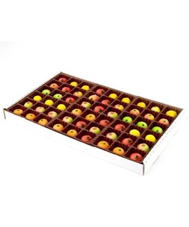 Bergen Marzipan 54 Piece Assorted Fruit Box Tray Net Weight 25 oz 1.56 Pound (Pack of 1)