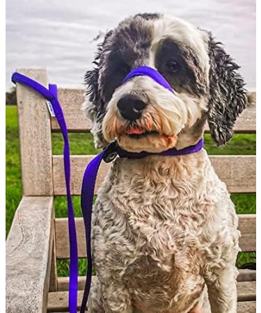 UniWalker Figure of 8 Training Lead For Dogs That Pull. Soft Padded.& Comfortable. 3 Leads in 1. Purple Purple One Size - Buy Online on GoSupps.com