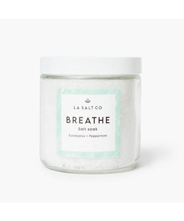 LA SALT CO Aromatherapy Bath Salt Soak  Breathe | Mineral-Rich Epsom Salt & Dead Sea Salt  Peppermint  & Eucalyptus Essential Oils | Natural Therapeutic Relief | 14 oz