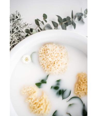 Kyte BABY Natural Sea Sponge 4-5 Inches | Gentle and Eco-Friendly Bath Sponge - Buy Online on GoSupps.com