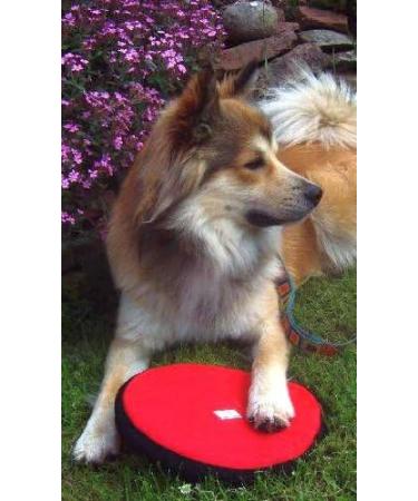 Buy Dogs and More Large Floating Fabric Frisbee - Durable Red Dog Toy for Ultimate Fun! - Buy Online on GoSupps.com