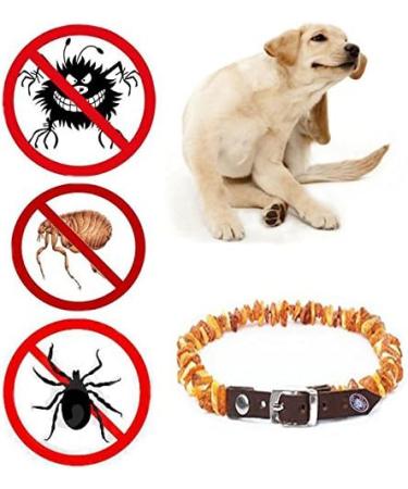 Elegant Baltic Amber Dog & Cat Necklace - Flea & Tick Protection Collar with Leather Clasp | Anti-Tick & Vermin Safety for Pets - Buy Online on GoSupps.com