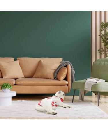 Buy Lxwsin Cat Recovery Suit - Breathable Cotton Anti-Licking Clothing for Cats | Pet Protection for Abdominal Wounds | Available in M & L - Buy Online on GoSupps.com