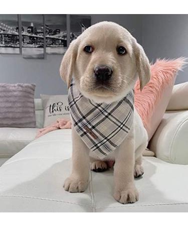 Lionet Paws Dog Bandana - Triangular Headscarf for Small Medium & Large Dogs - Grey (Pack of 1) - Buy Online on GoSupps.com