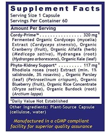 Quantum Kidney Support with Fermented Cordyceps - 60 Plant-Based Capsules - Buy Online on GoSupps.com