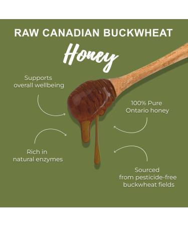 ONEROOT Canadian Raw Buckwheat Honey | Higher in Antioxidants Than Manuka (1 kg) 1 kg (Pack of 1) - Buy Online on GoSupps.com