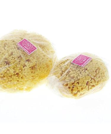 Natural Mediterranean Bath Sponge - Kosmetex (12 cm) - Eco-Friendly | Shop Now for Quality & Size Variety - Buy Online on GoSupps.com