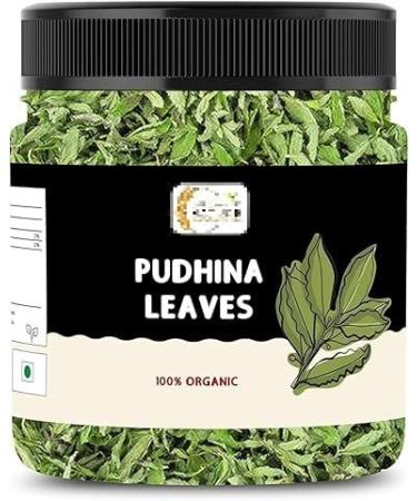 REQ Mint Leaves Sukha Pudina Patti pudhina leaves (Jar Pack) (50 Grams)