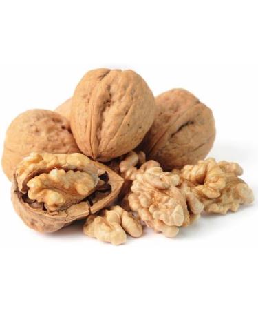 Rulop Walnuts in Shells 500g Chilian Walnuts Vegan and 100% Natural Packed in a Resealable Pouch to Maintain Freshness - Buy Online on GoSupps.com