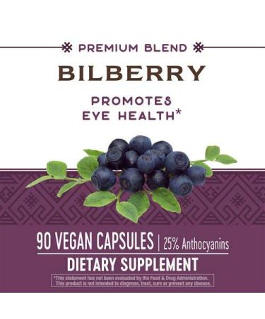 Nature's Way Bilberry Standardized Extract Veg Capsules 90 ea - Pack of 3 | 270 Count Total - Buy Online on GoSupps.com