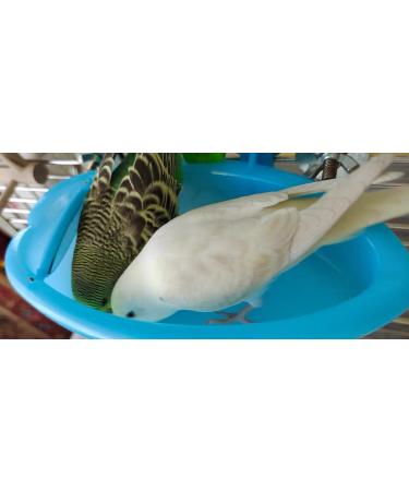 Portable Bird Bath with Mirror for Small Parakeet Cage - Large Parrot Fountain Accessories for Lovebird, Finch, Budgie, Canary - Buy Online on GoSupps.com