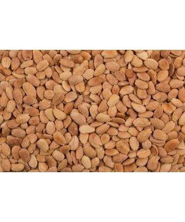 Portuguese Toasted Skinless Almond 10 kg Large Natural Ideal for Vegan Vegetarian Keto and Paleo Diets. Vale D'Amendoa - Buy Online on GoSupps.com