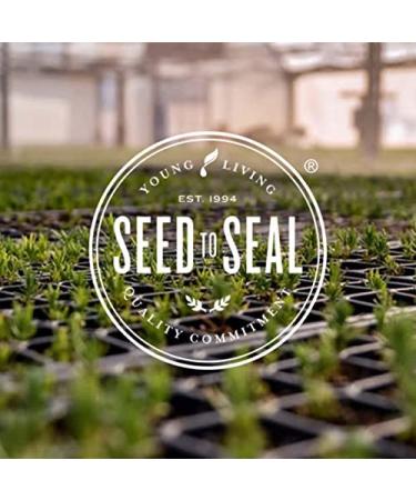 Buy Young Living Thieves Roll-On 10ml | Pre-Diluted Essential Oil Blend | Clove Lemon Cinnamon & Eucalyptus for On-the-Go Use | Shop Internationally - Buy Online on GoSupps.com