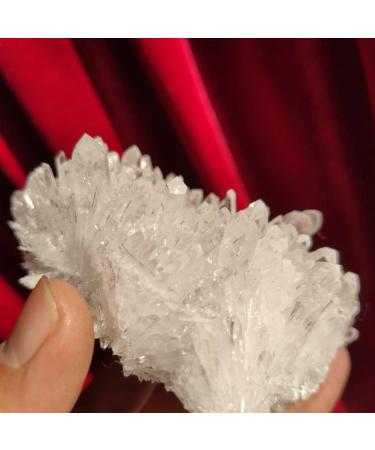 Natural Crystal Rough Natural Crystal Natural Crystal Calcite Cluster White Specimen Stone (Size : 500-600g) - Buy Online on GoSupps.com