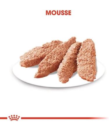 ROYAL CANIN Coat Care Mousse | Pack of 4 | 4 x 12 x 85 g | Wet Dog Food | for Dogs from 10 Months | Formula for Dogs with Dull and Dry Coats - Buy Online on GoSupps.com