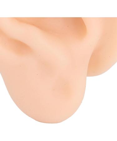 Buy Simulation Artificial Ear Model - Soft Silicone Ear Acupuncture Practice Model for Hospital Use | International Shipping Available - Buy Online on GoSupps.com
