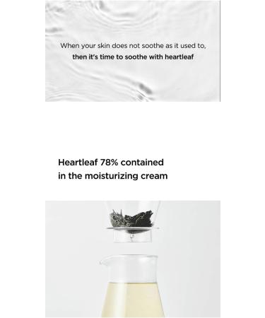 Anua Heartleaf 78% Soothing Cream 100ml / 3.38 fl.oz. I moisturizing soothing the skin panthenol ceramide moisture barrier - Buy Online on GoSupps.com