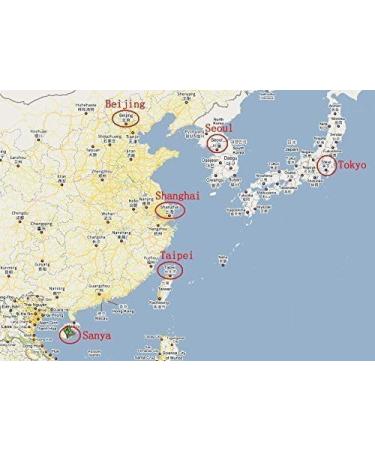 WENXUANSU: 3 Pound (1362 grams) Dried seafood large-sized cuttlefish from South China Sea - Buy Online on GoSupps.com