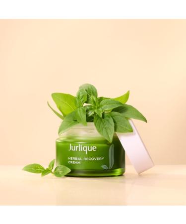 Jurlique Herbal Recovery Cream 50 ML | Hydrating Anti-Aging Skincare | International Shipping Available - Buy Online on GoSupps.com