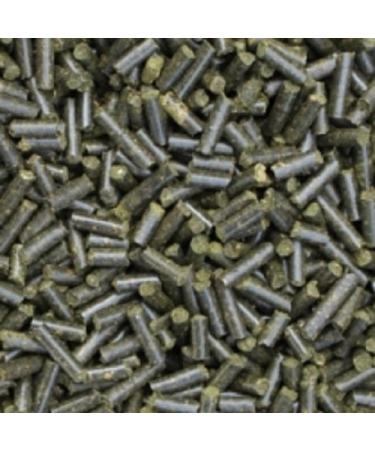 Catappa-Leaves Walnut Leaf Sticks 50g for Shrimp, Crab, Snails and Other Food Sticks