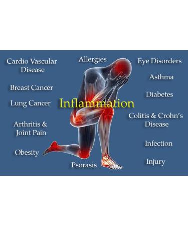 Flamasil - (3 Pack)- for Healthy Inflammation Response* | Bio-Enhanced Turmeric Boswellia Resveratrol and More | Multi-Herbal Pain Reliever* and Joint Aid | 13-in-1 Superfood Antioxidants - Buy Online on GoSupps.com