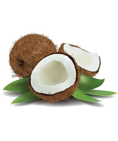 Men's Splendor Coconut Oil Bath Bar Soap - Handmade Vegan Cleansing Bar with Activated Charcoal, Pumice, and Alkanet Root for Exfoliation and Moisturization - Buy Online on GoSupps.com