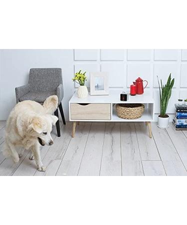 Petcube 2017: Smart Pet Camera with Interactive Laser Toy | HD Video, Two-Way Audio, Night Vision | App-Enabled Monitoring for Dog/Cat Safety - Buy Online on GoSupps.com