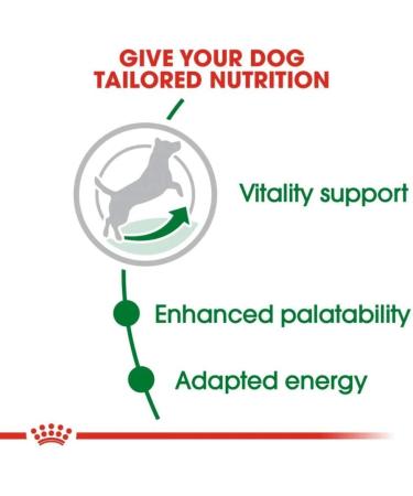 ROYAL CANIN Dog Food Mini Adult 8+ 8kg - Buy Online on GoSupps.com